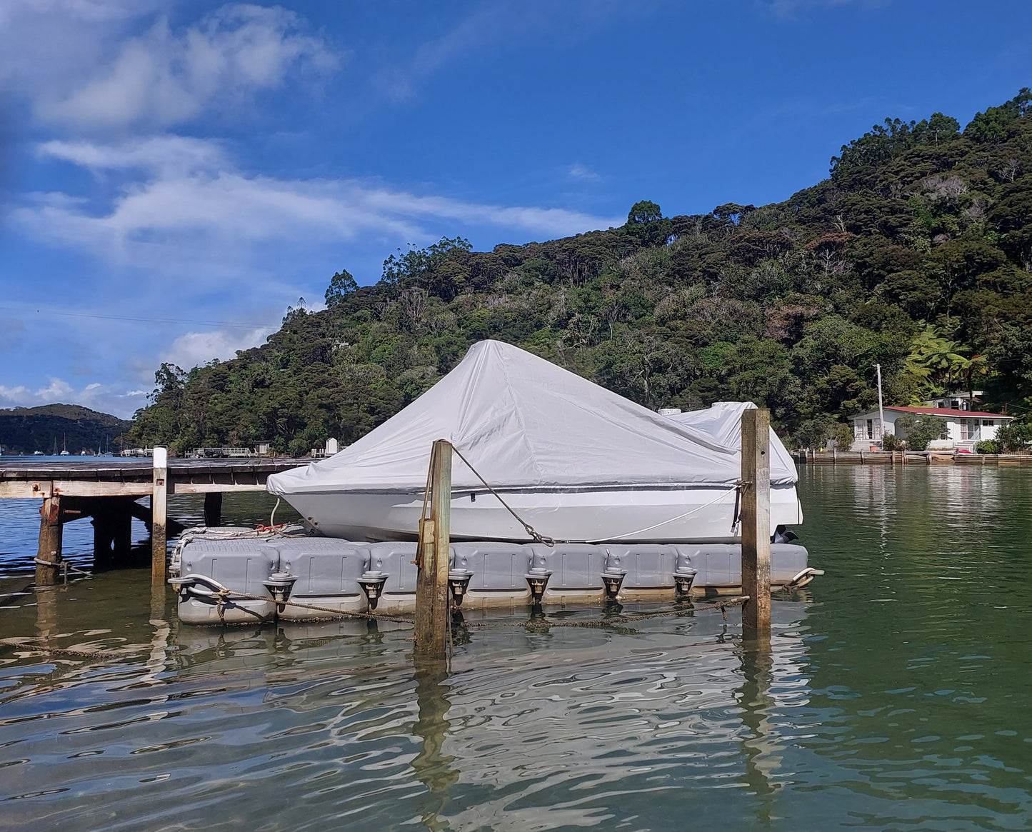 Custom Canvas Projects