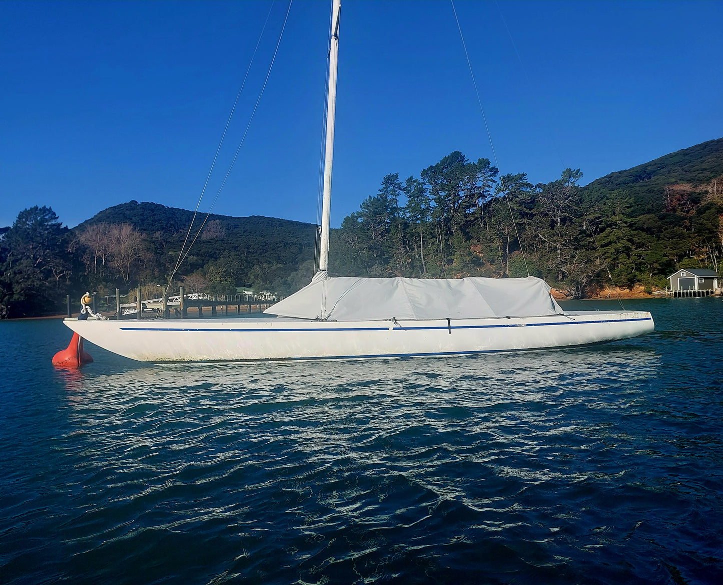 Custom Canvas Projects